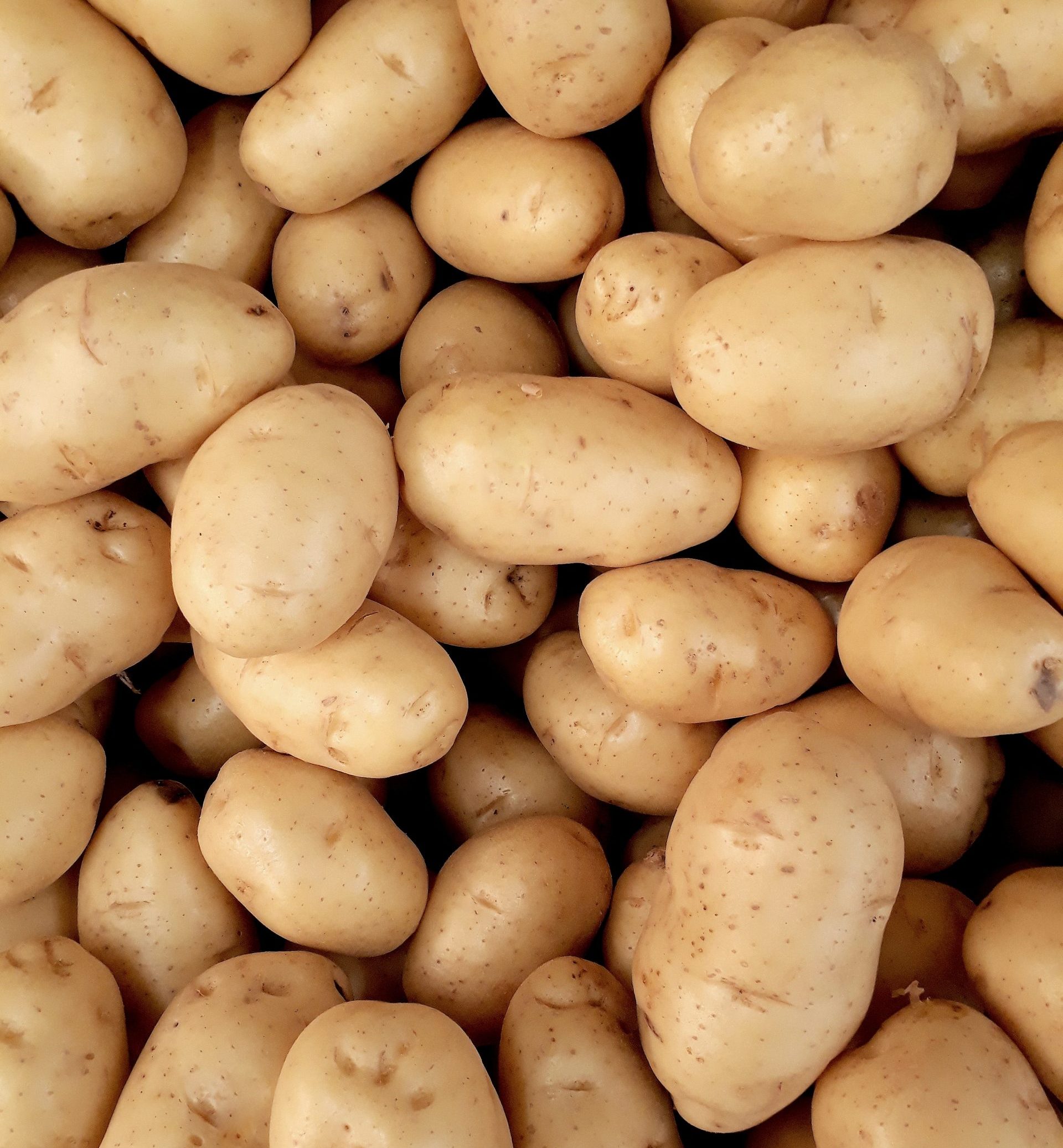 Alimentos amino&aacute;cidos