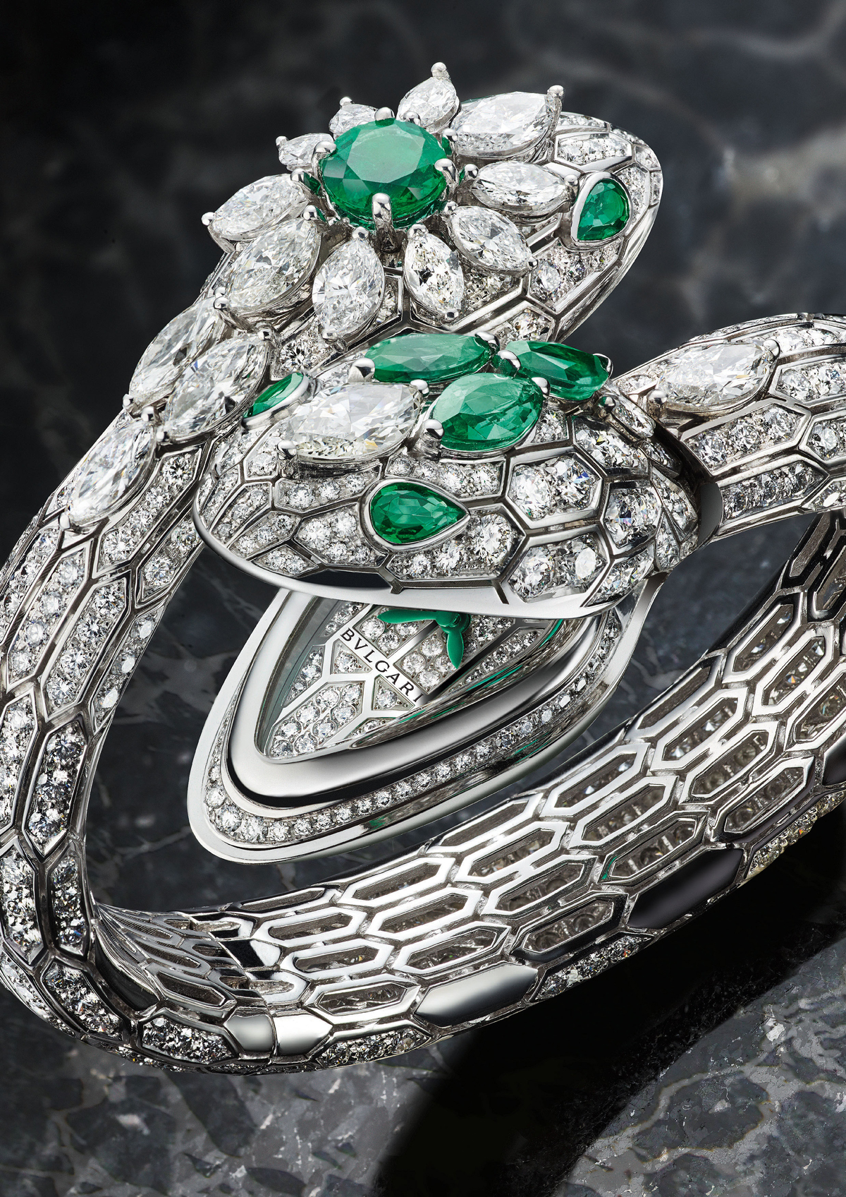 Serpenti