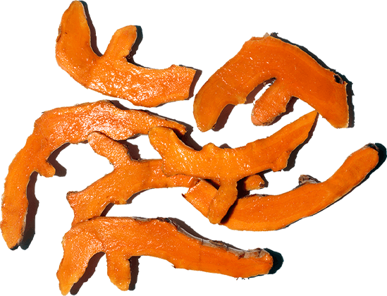 Cúrcuma