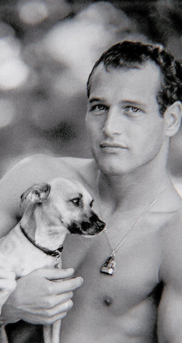 Paul Newman