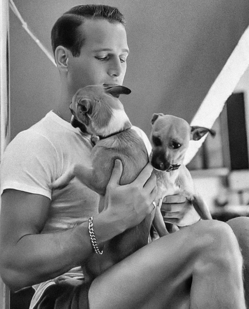 Paul Newman
