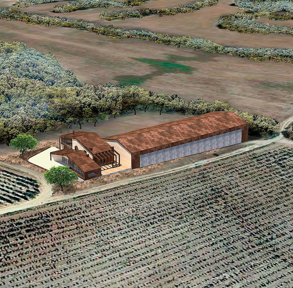 Bodega Bosque de Matasnos