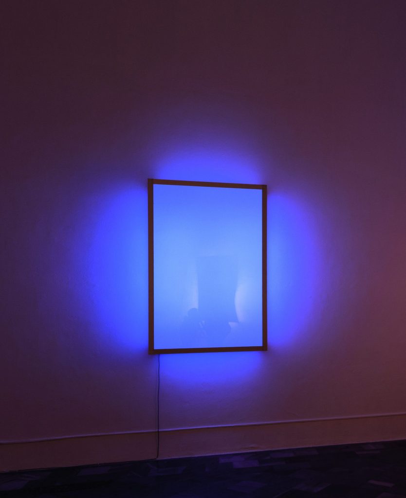 Galer&iacute;a Freijo