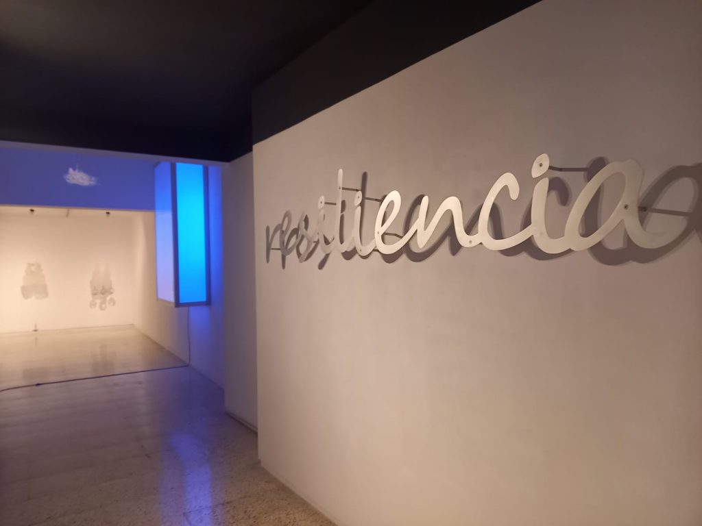 Galer&iacute;a Freijo
