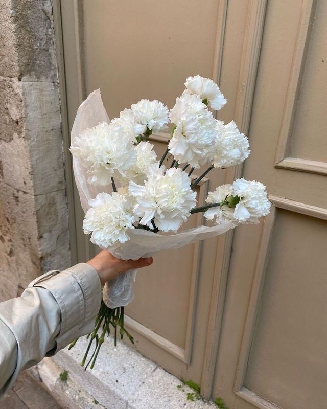 Clavel