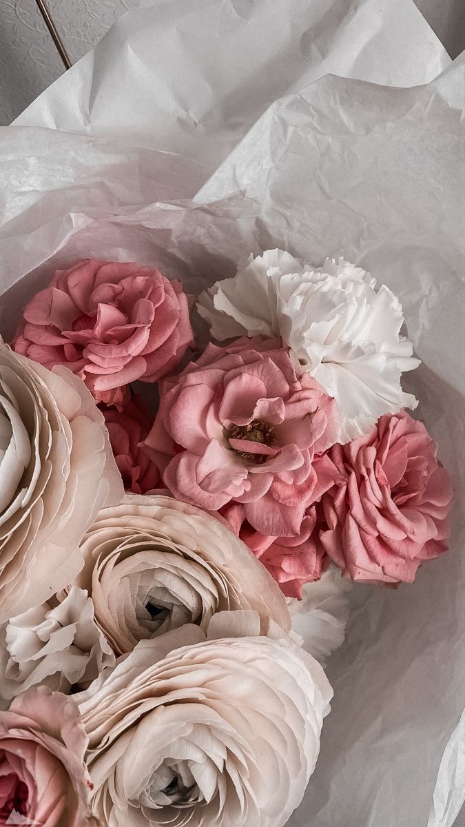 Clavel