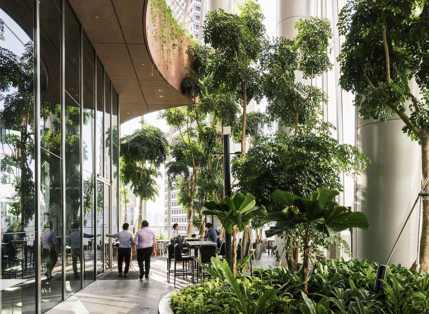 Jard&iacute;n vertical