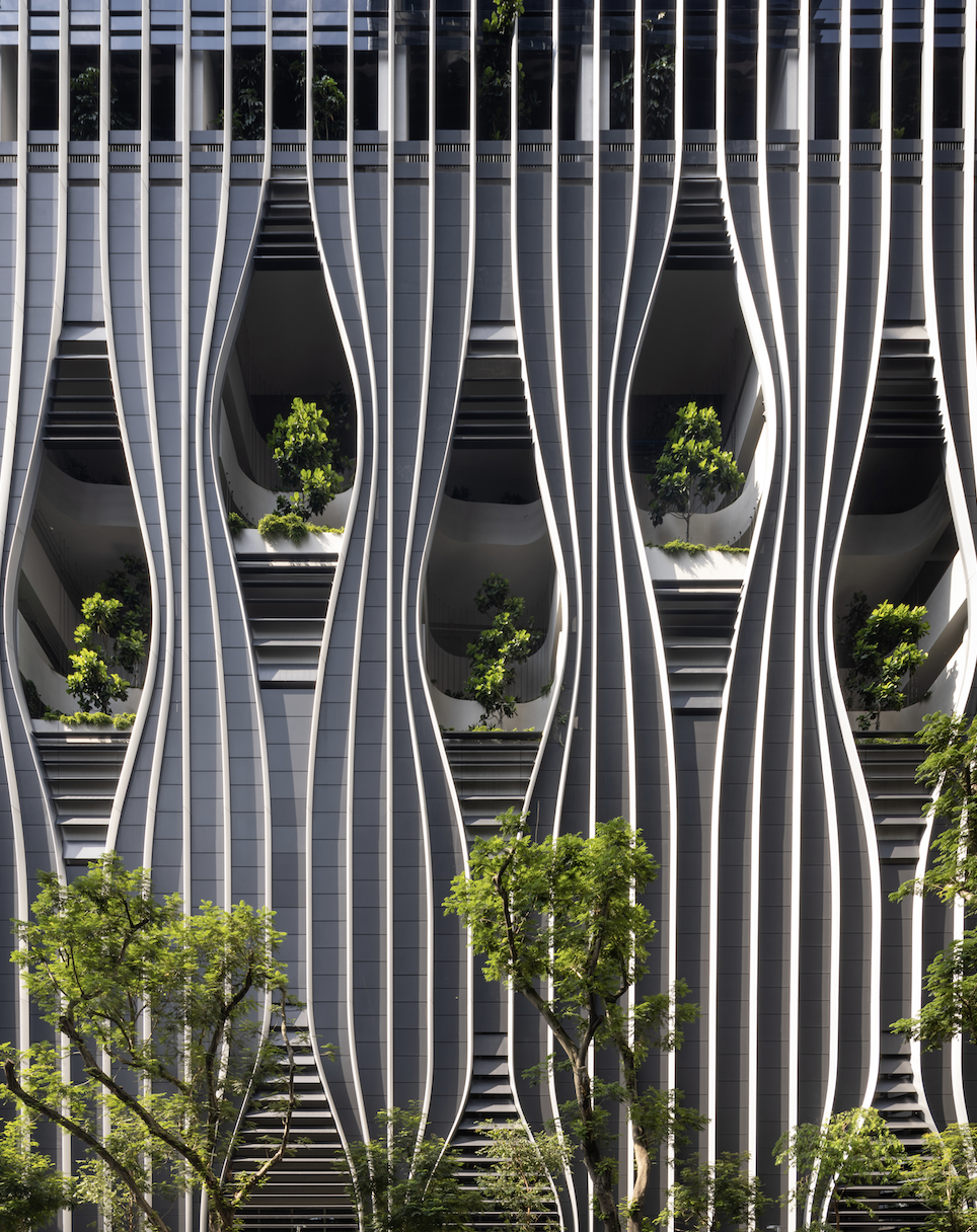 Jard&iacute;n vertical
