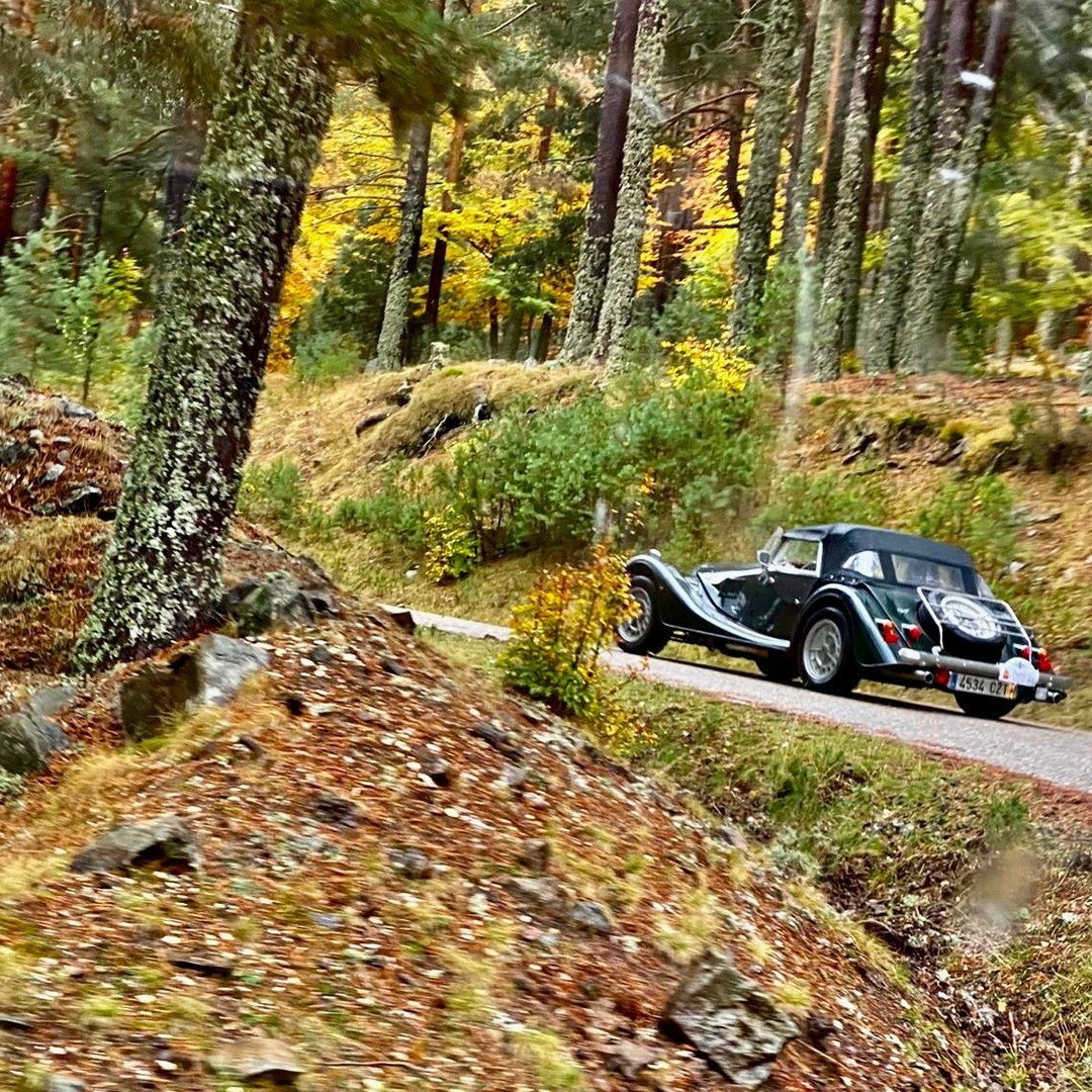 Morgan