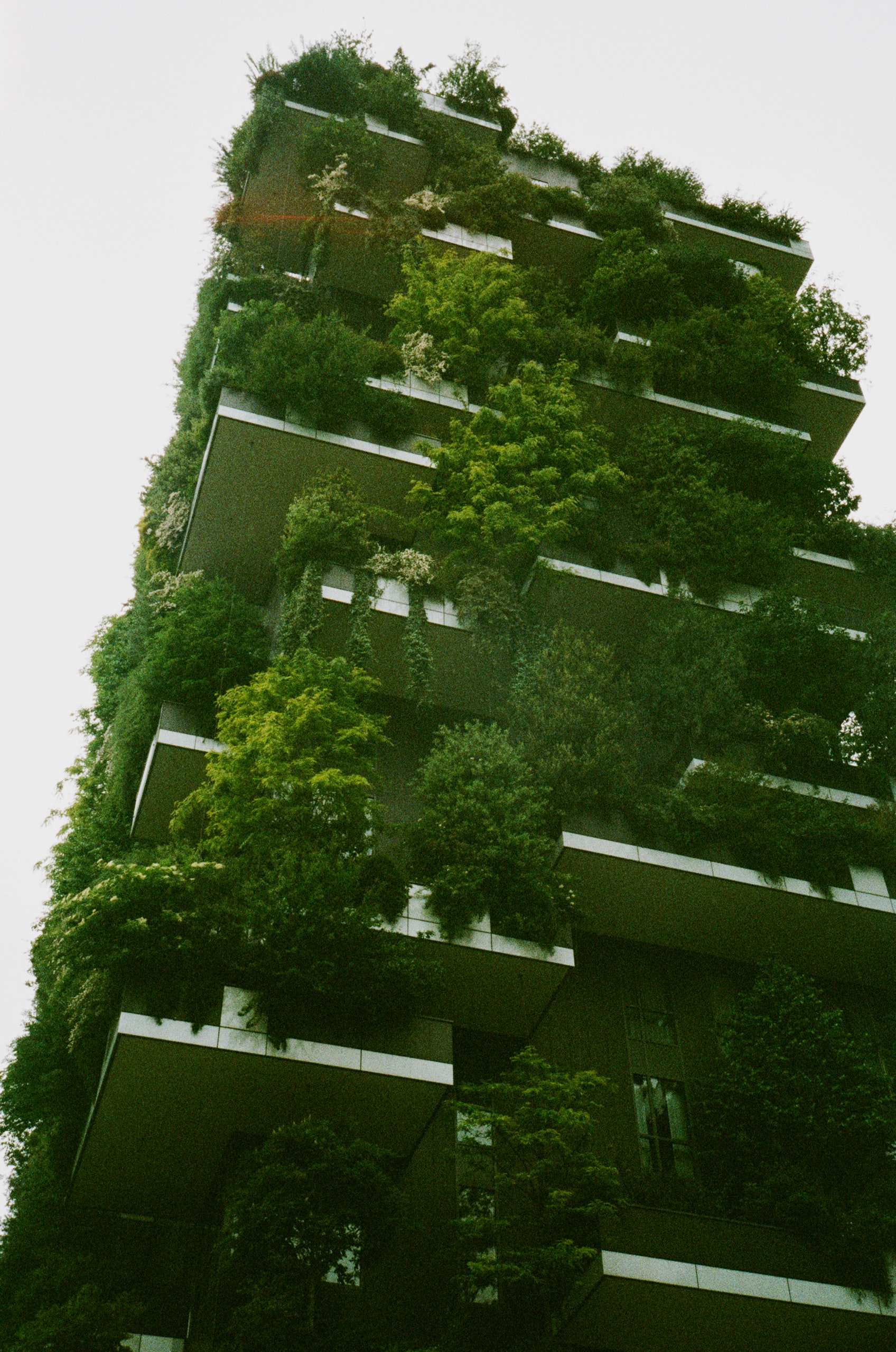 Bosco Verticale