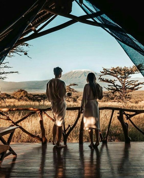Safari