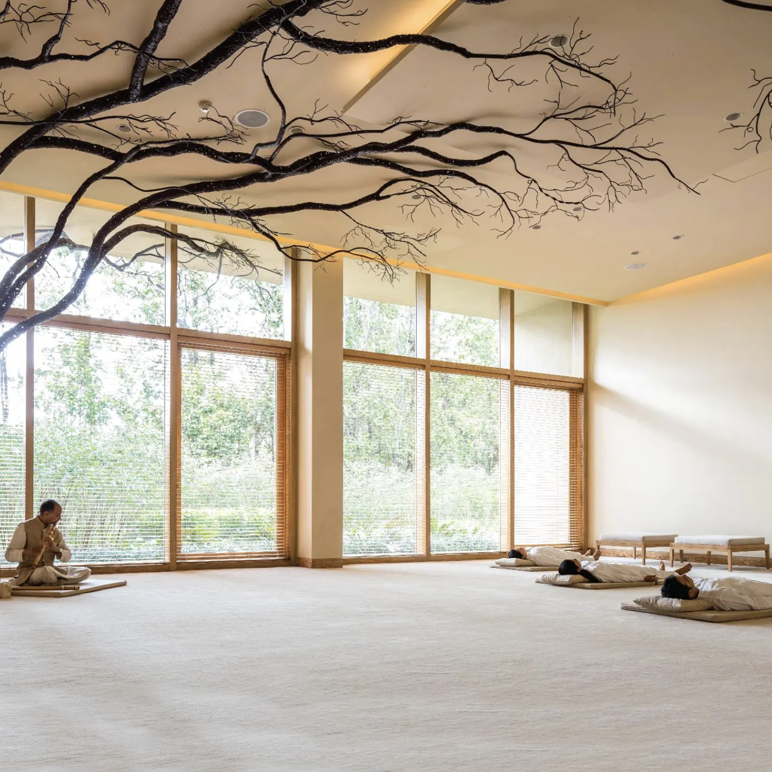 Retiro espiritual Six Senses Vana