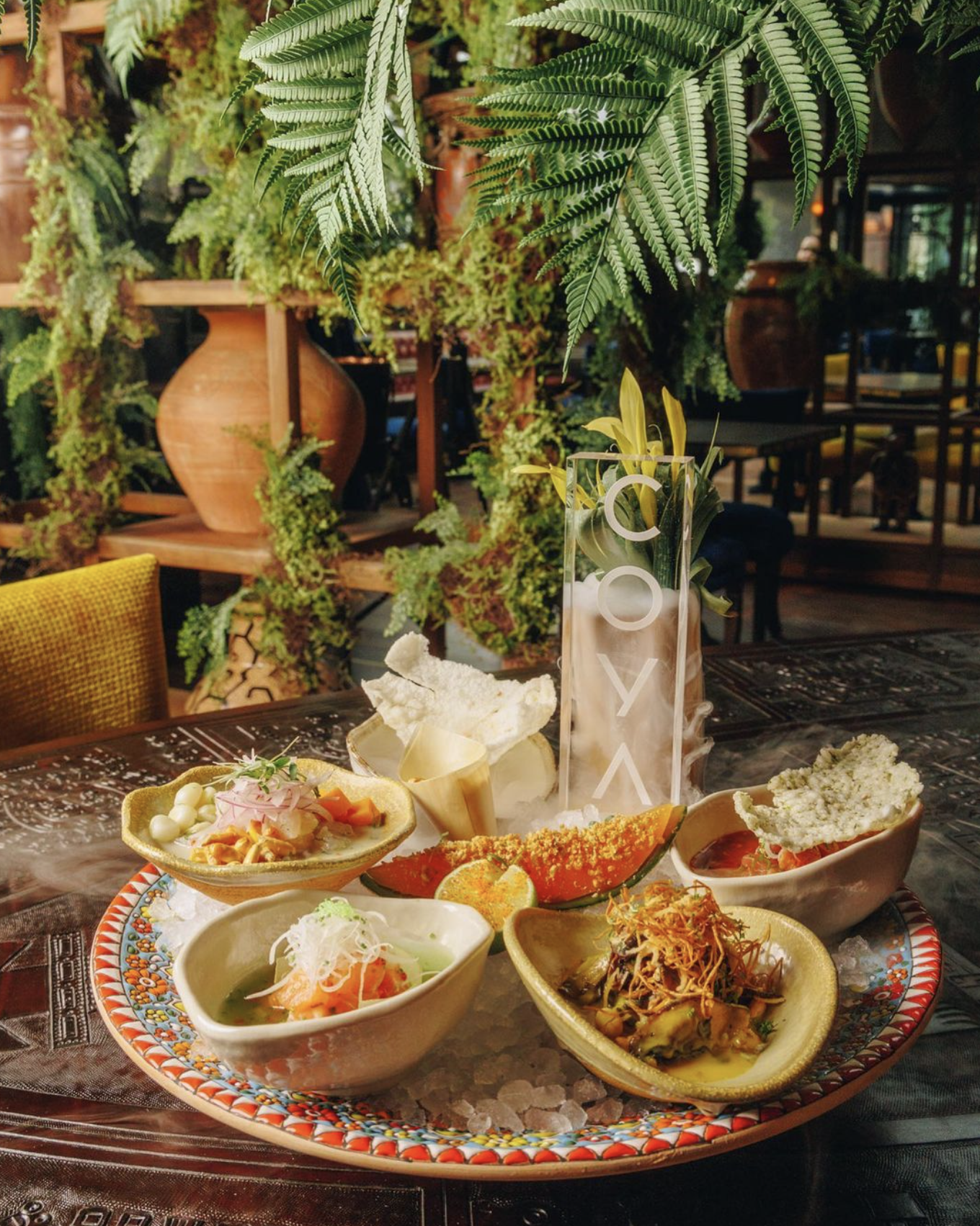 Coya Marbella