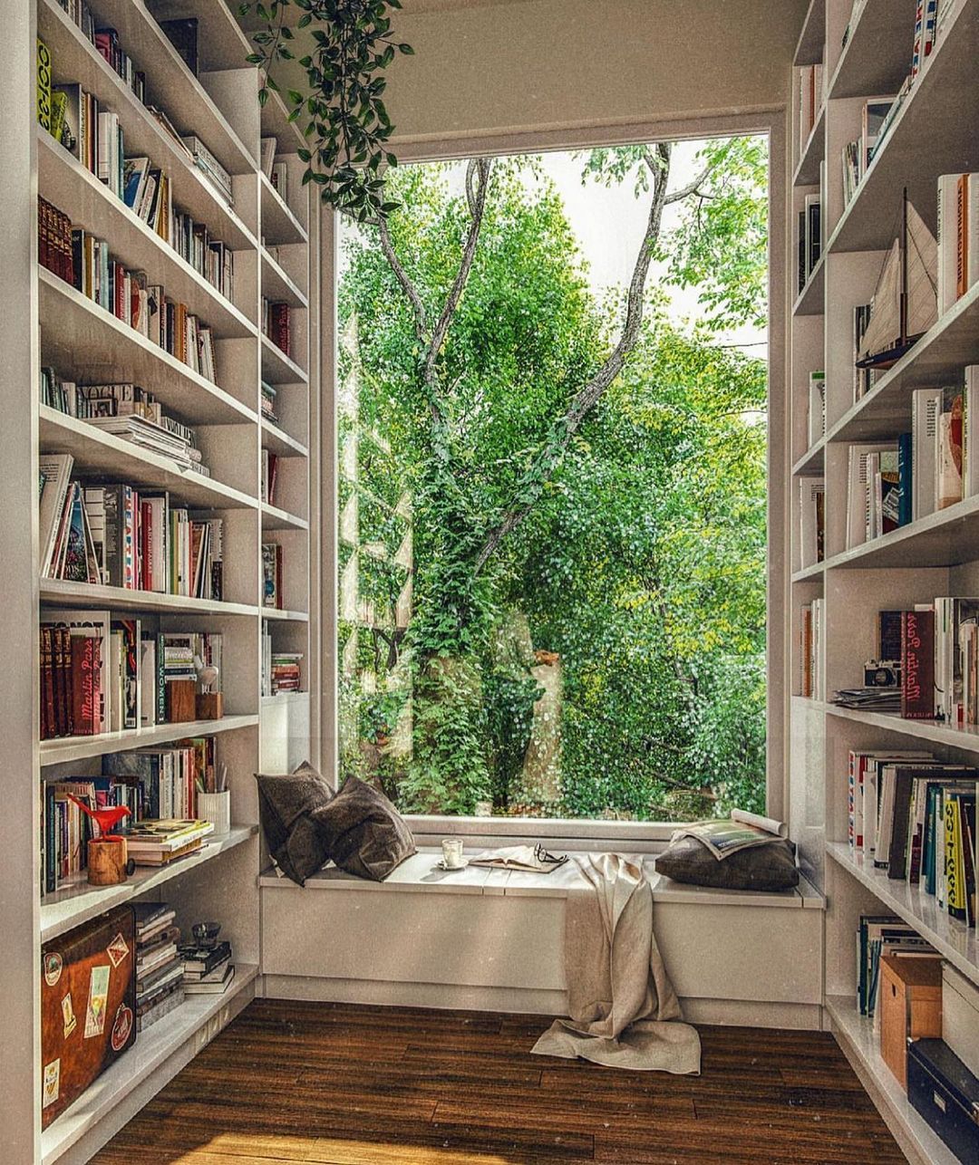 Libros