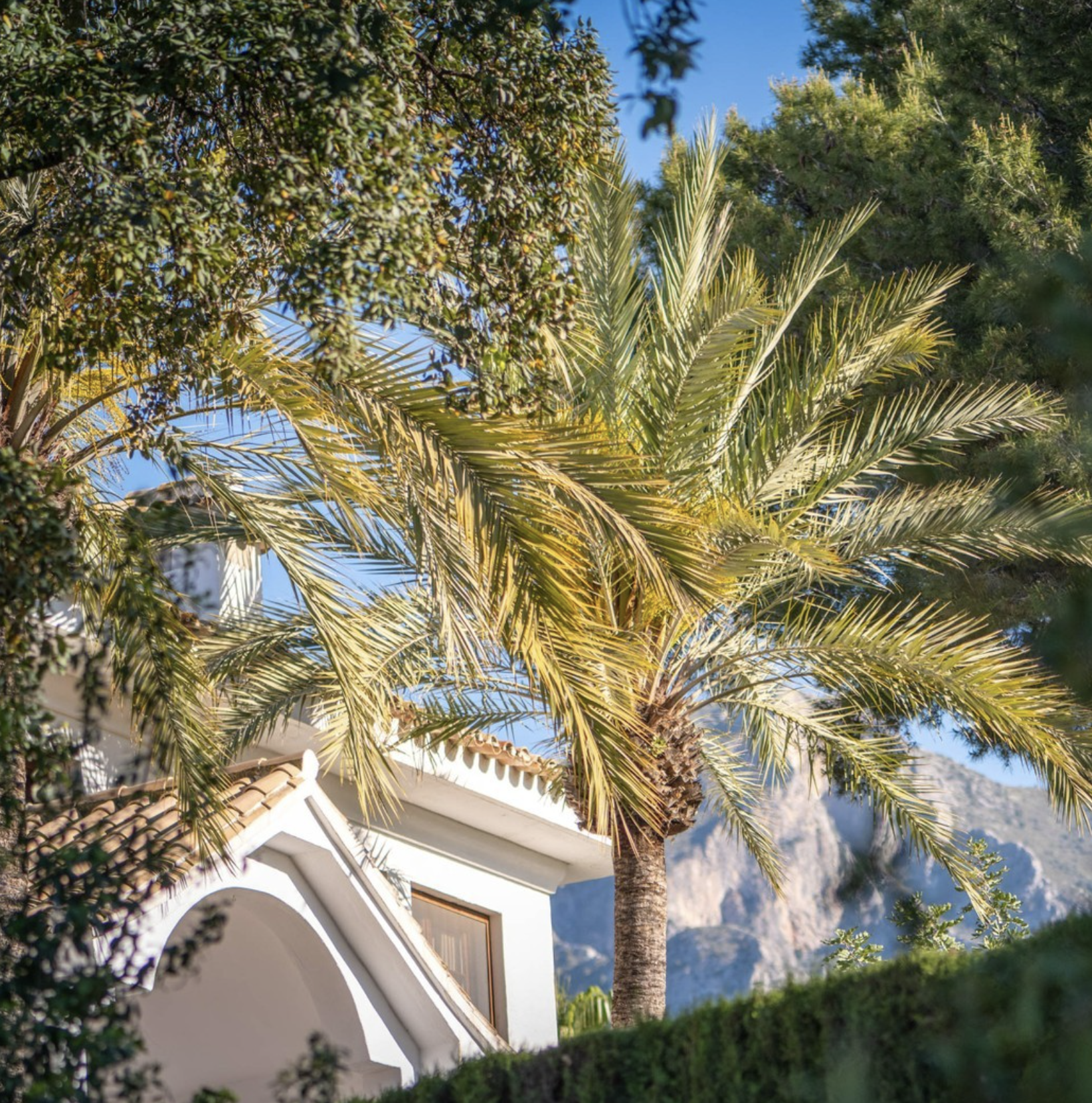 Buchinger Wilhelmi Marbella