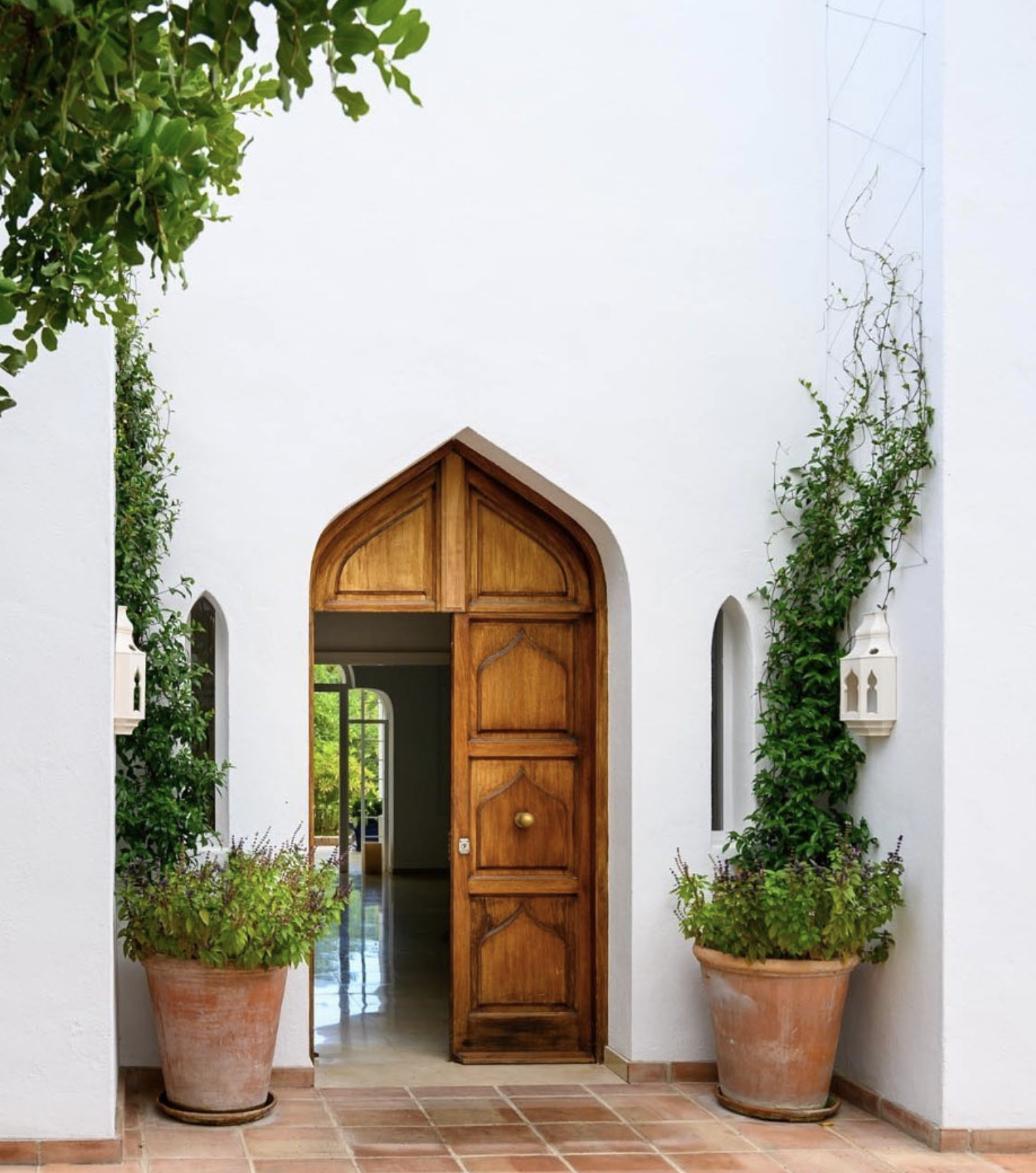 Buchinger Wilhelmi Marbella