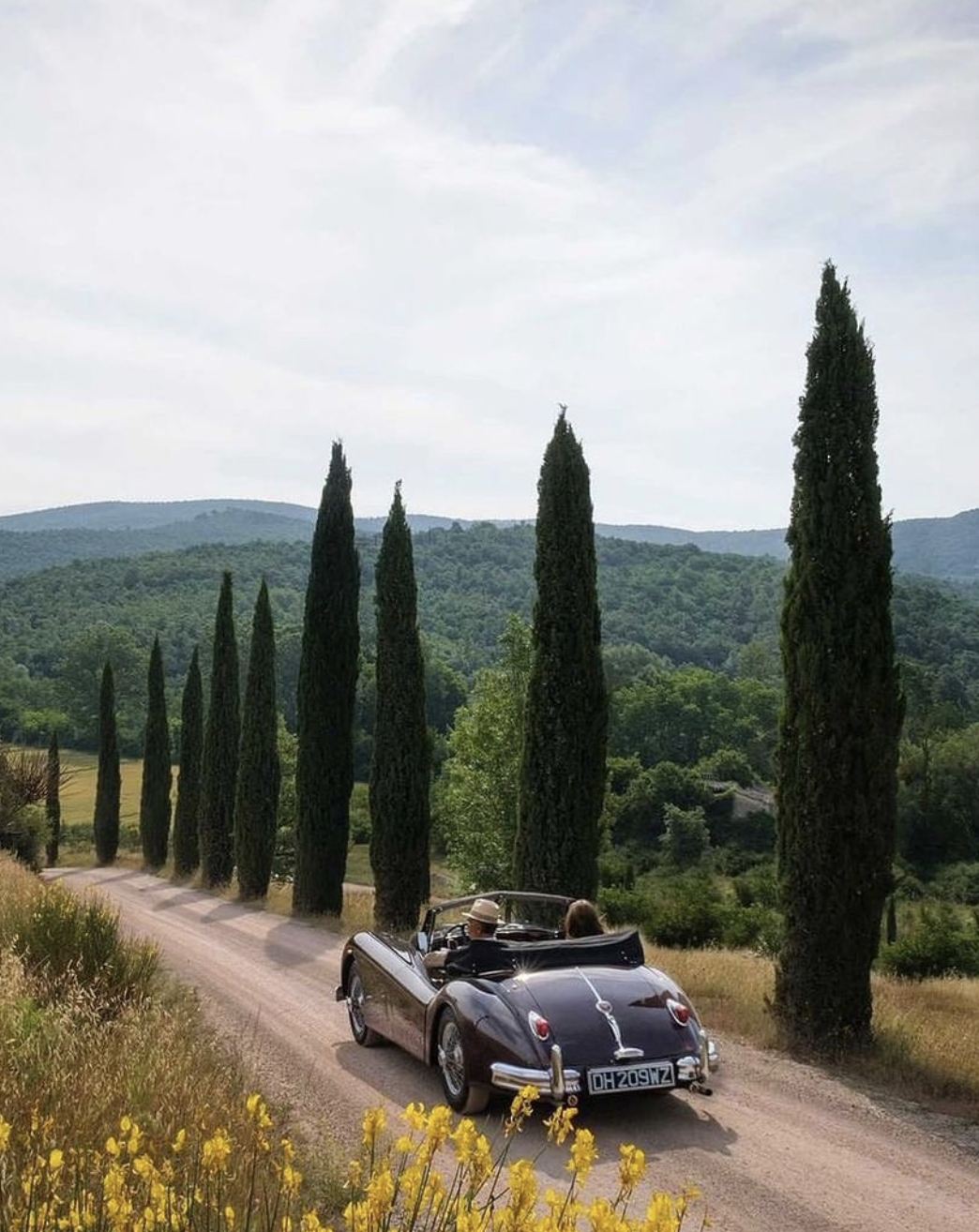 Four Seasons Drive