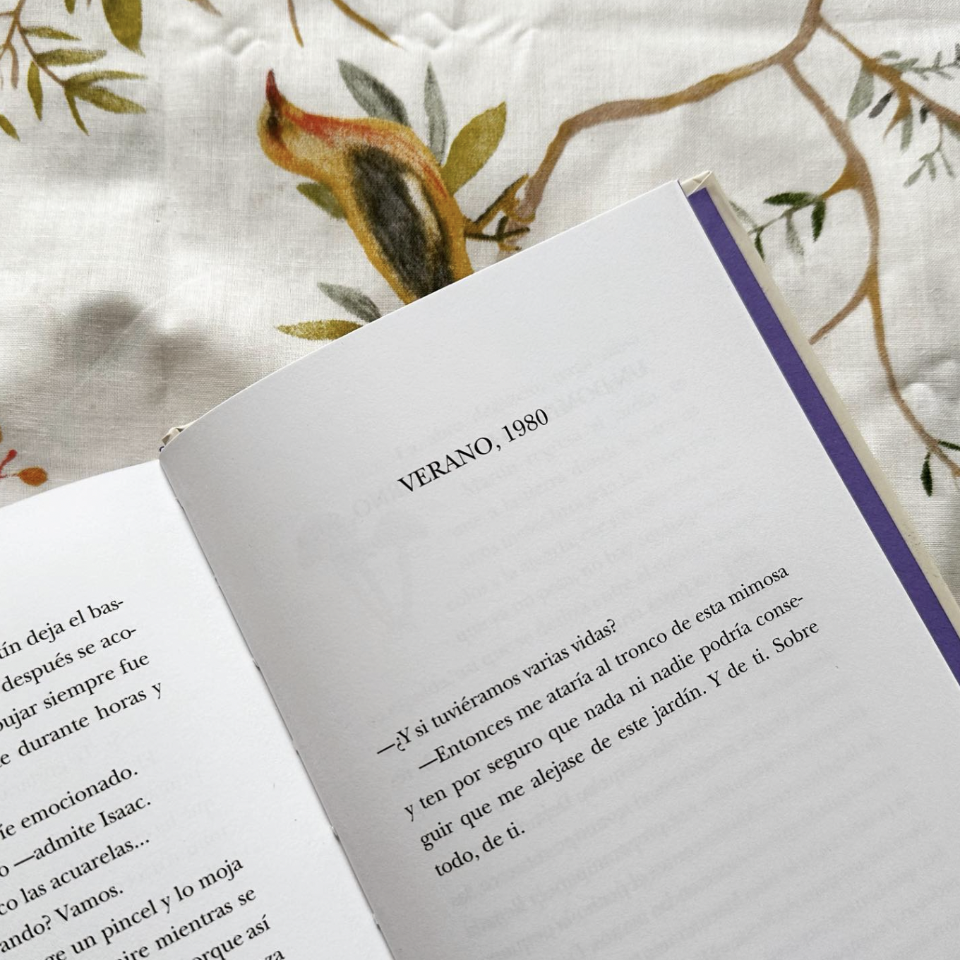 Libro 'Donde todo brilla' de Alice Kellen