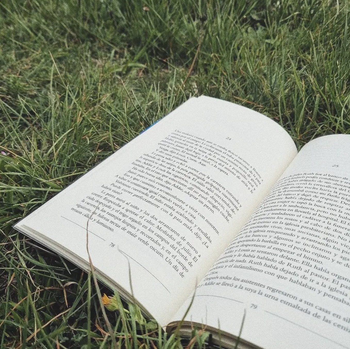Libro 'Donde todo brilla' de Alice Kellen