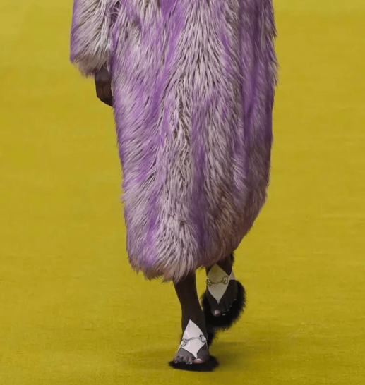 Foto: Gucci