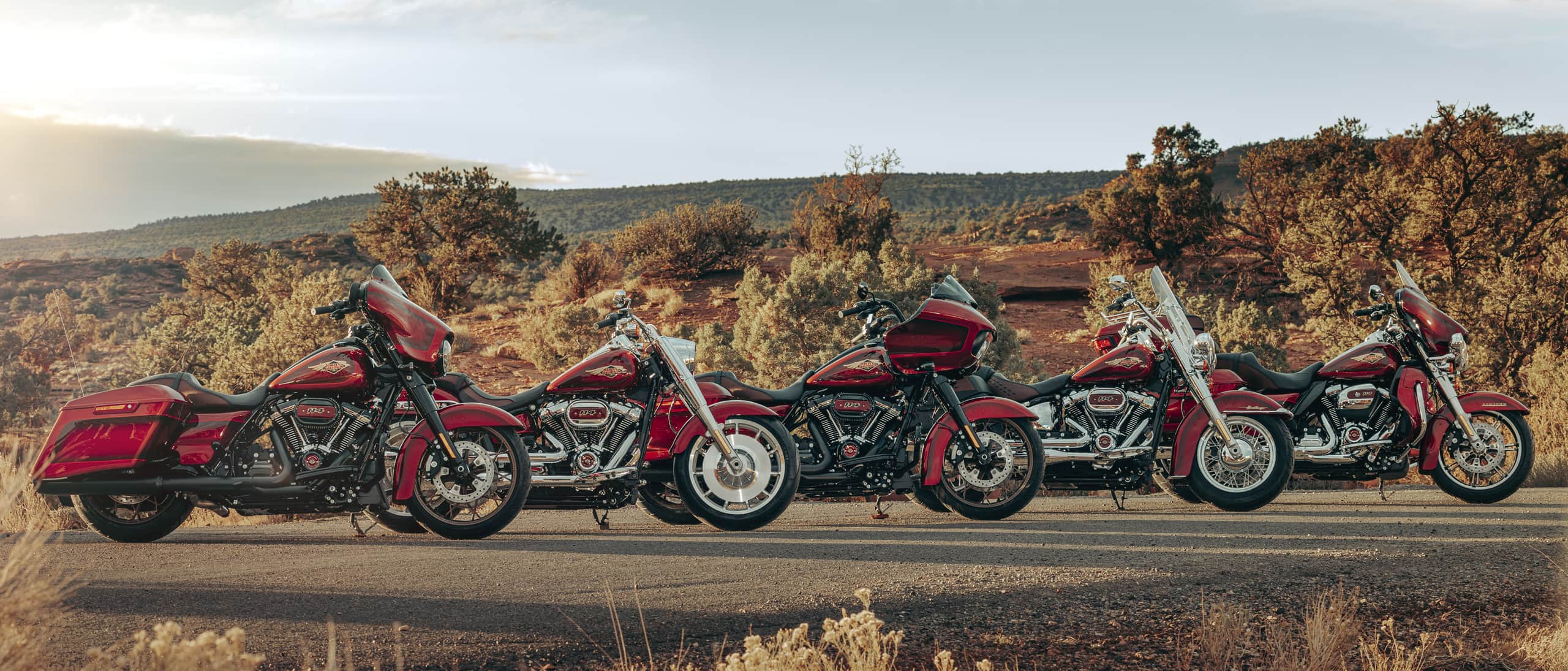 Harley-Davidson