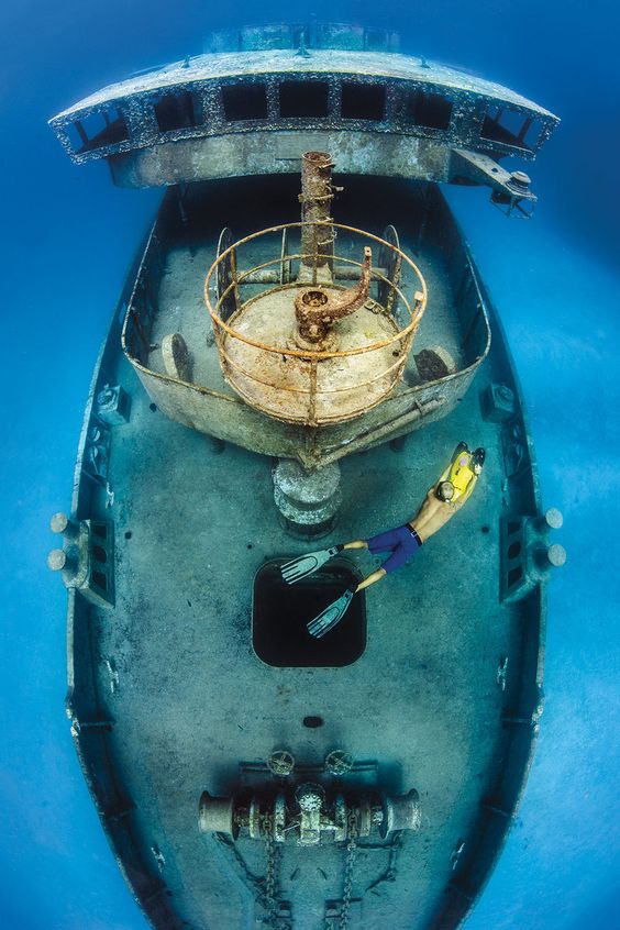 Naufragio Kittiwake