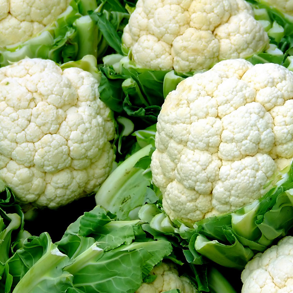 Coliflor