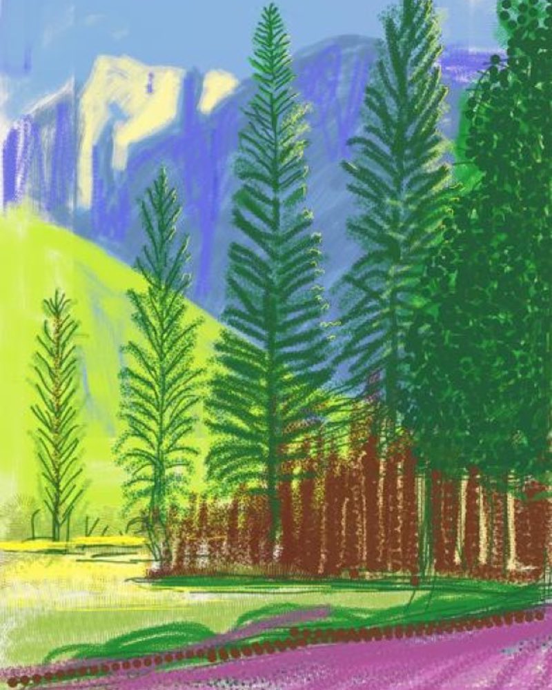 Foto: @david_hockney