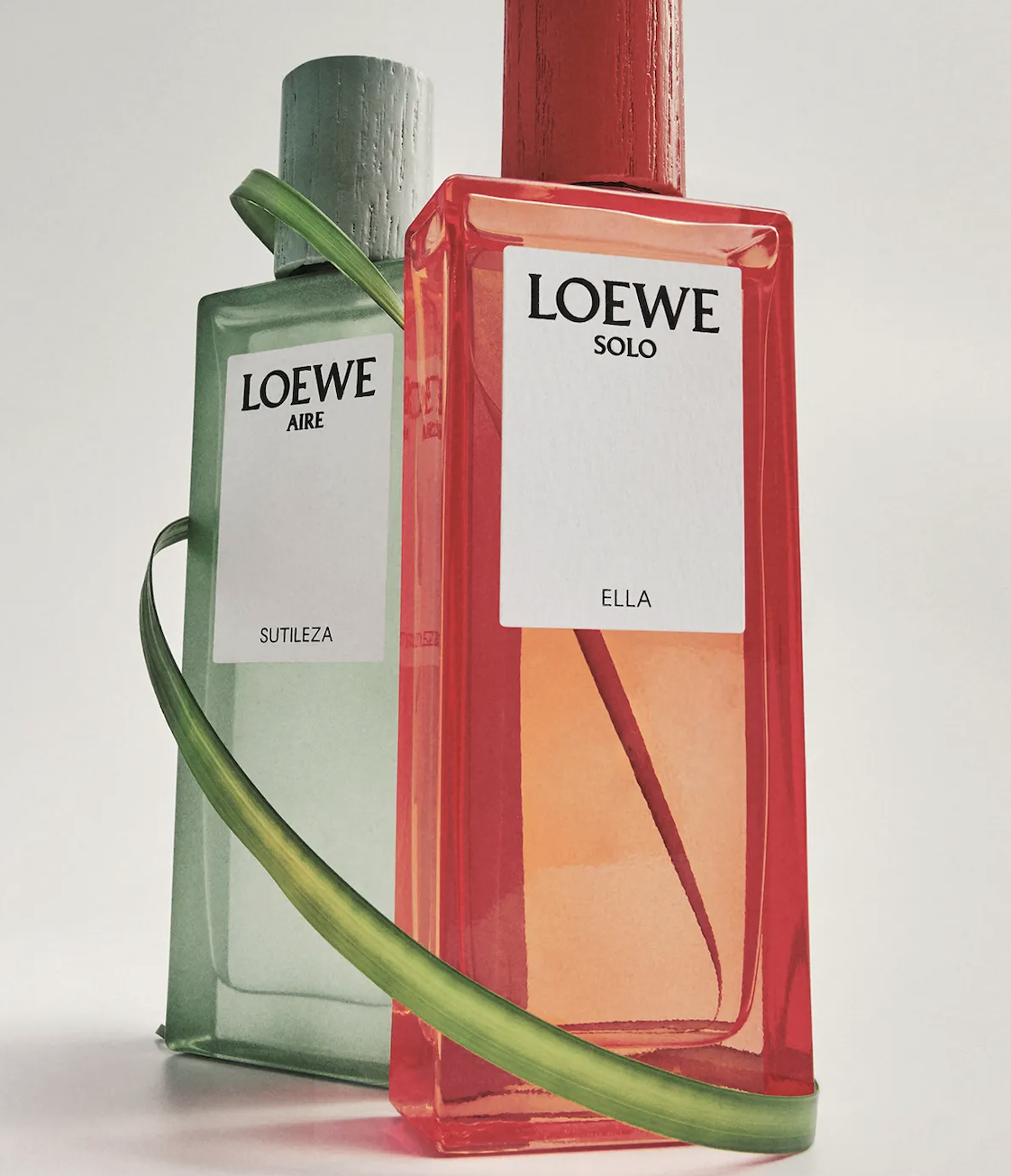 Set Dúo Loewe