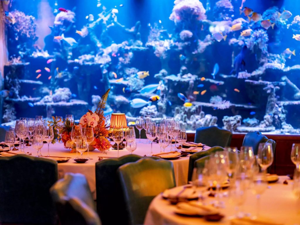 Sexy Fish