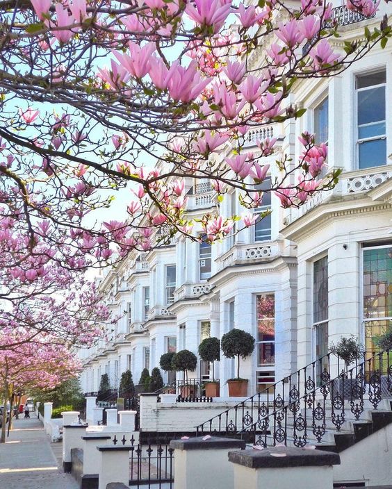 Notting Hill