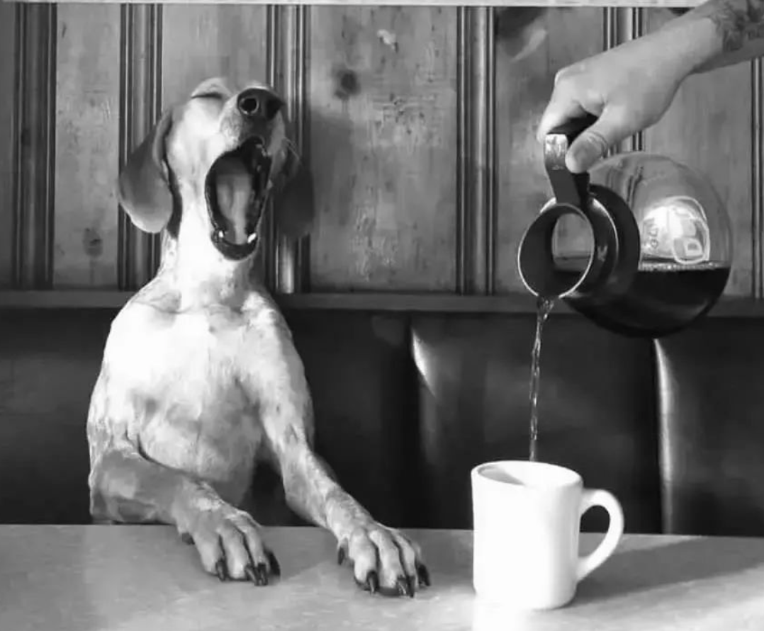 Café