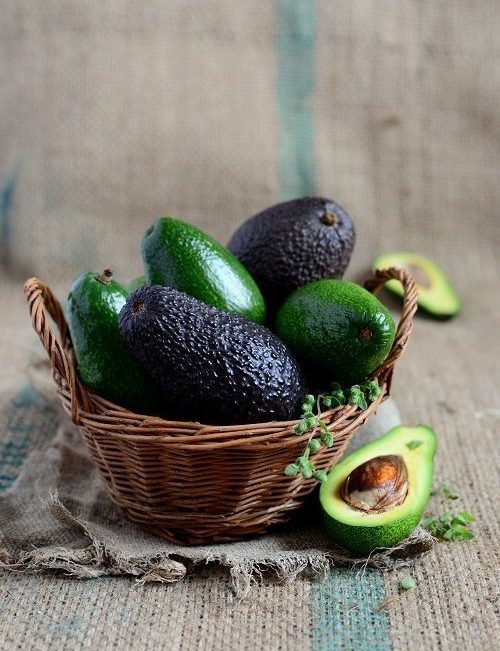 Aguacate