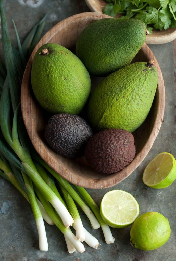 Aguacate