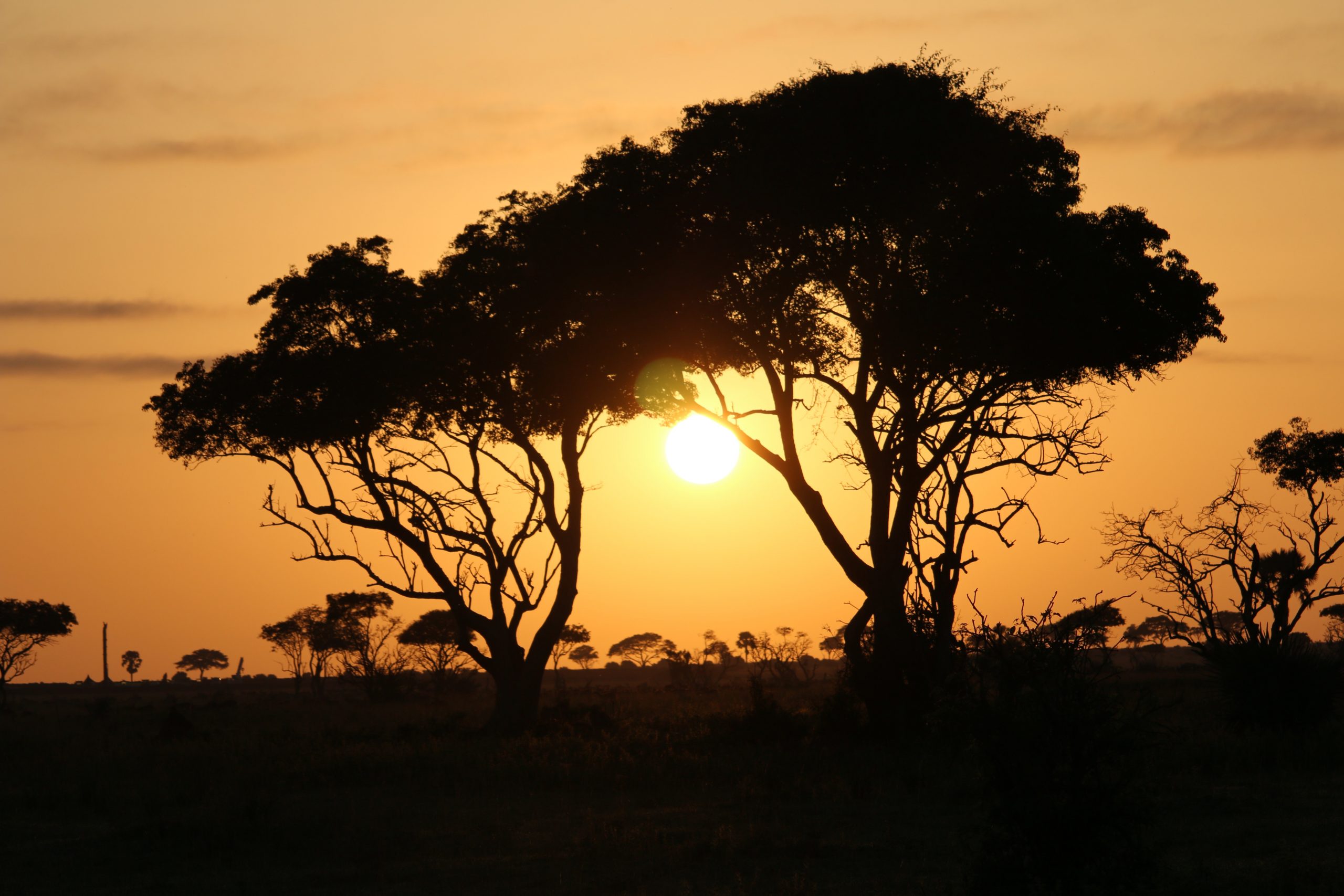 Masindi