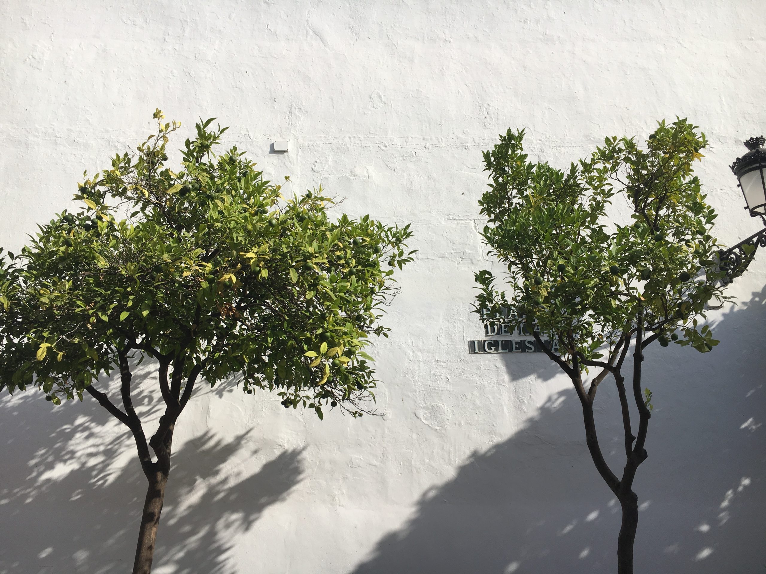 Marbella