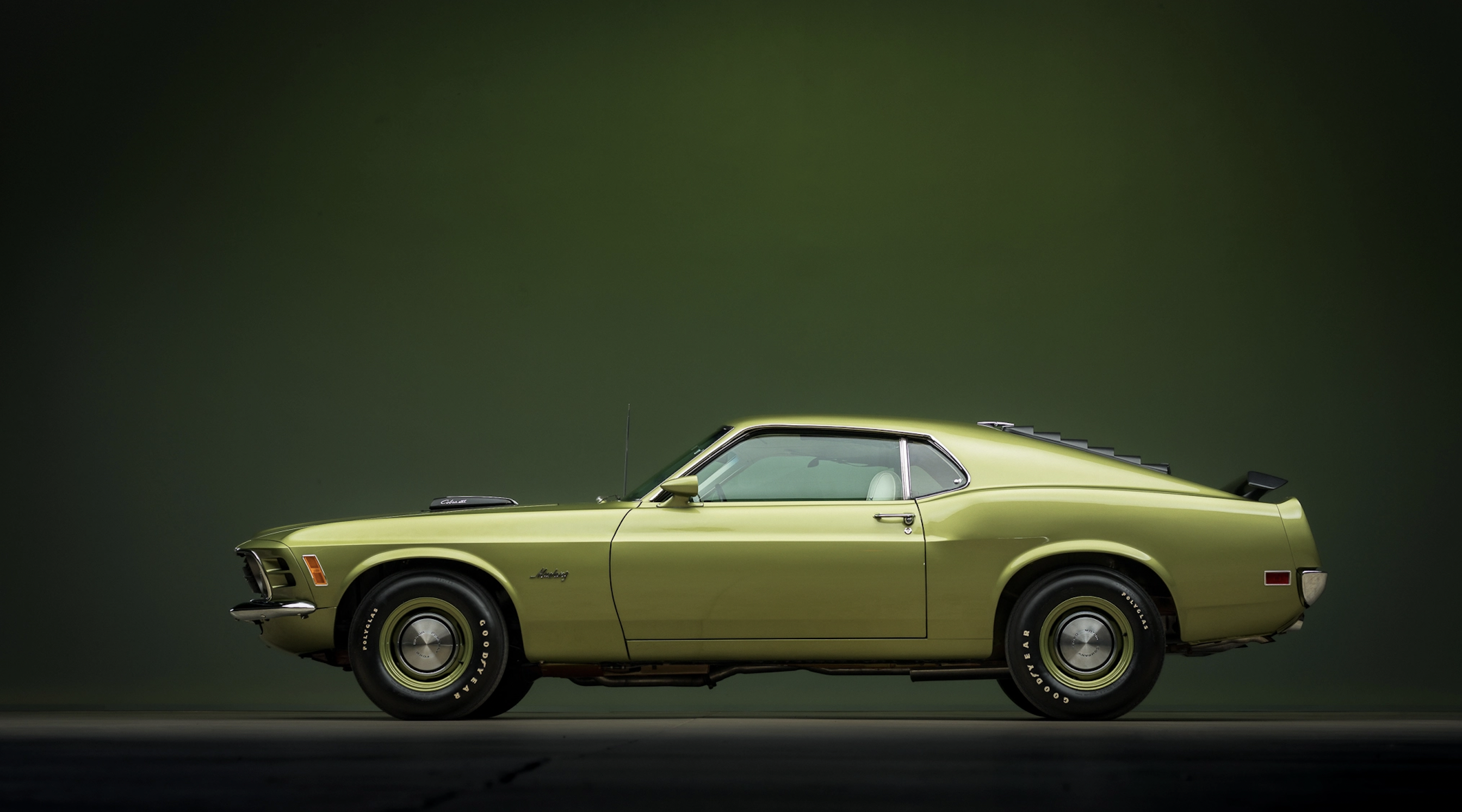Mustang