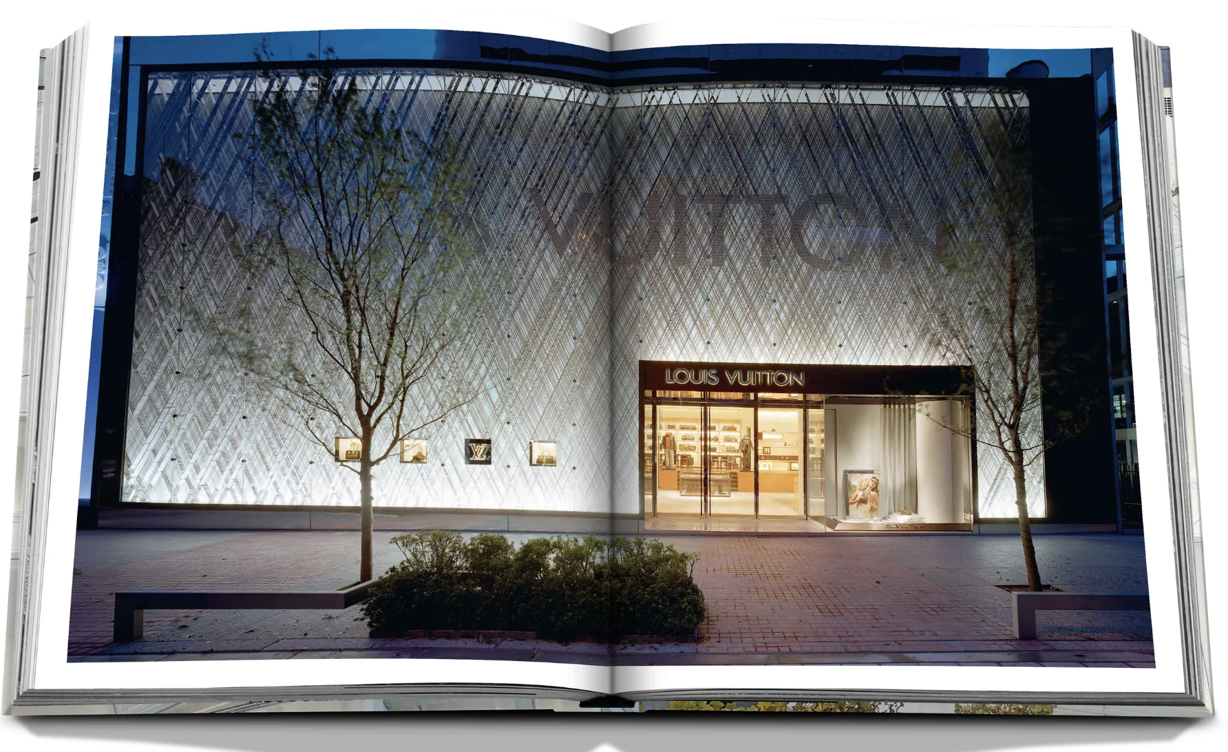 Louis Vuitton Libro Skin