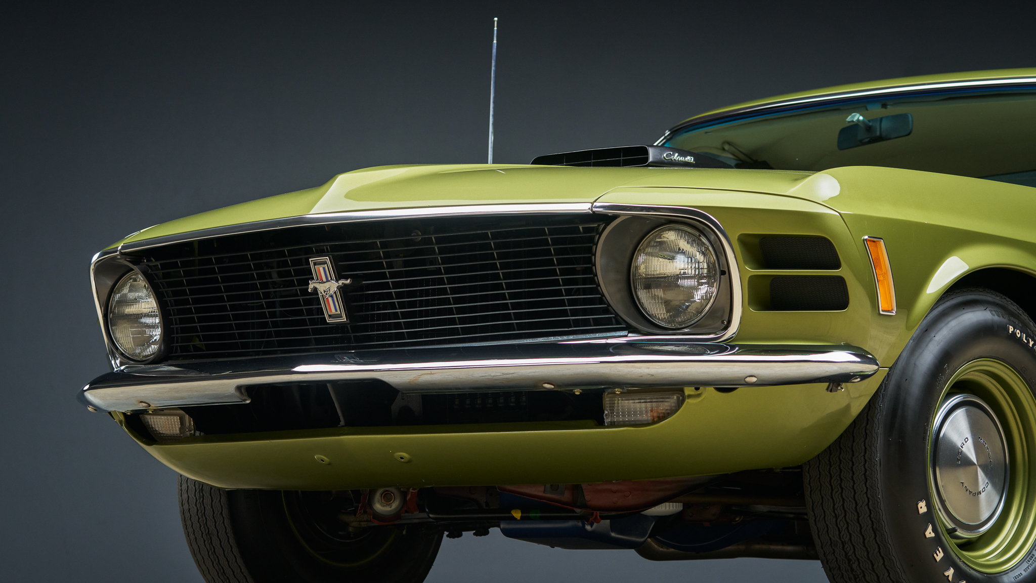 Mustang