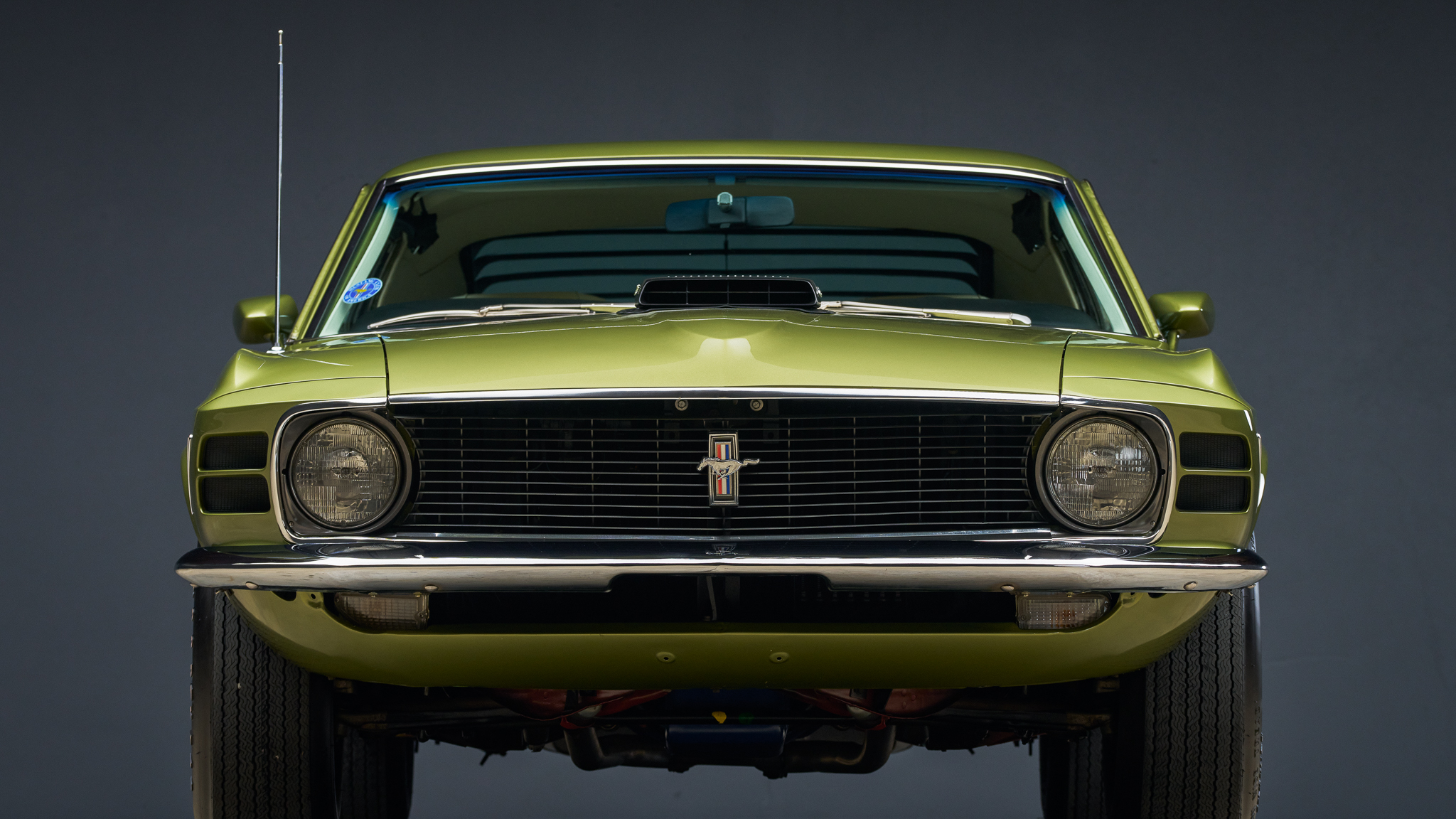Mustang