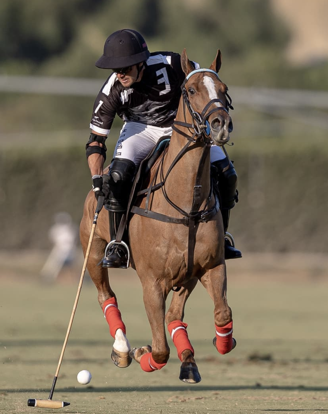 polo