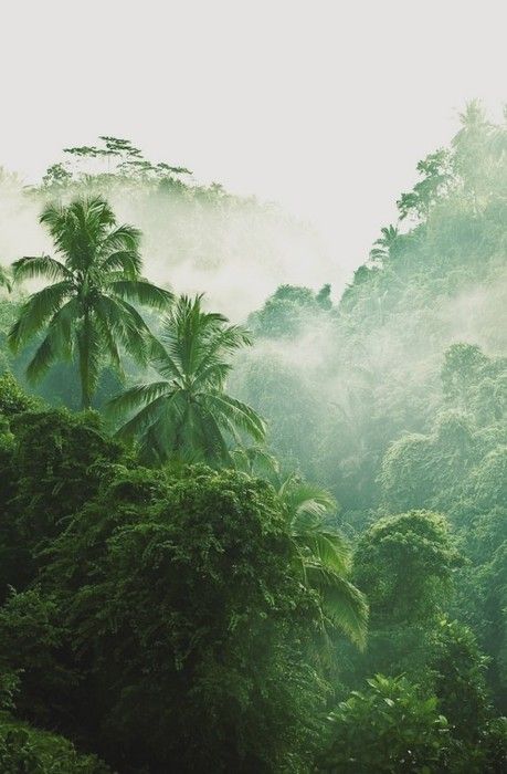 Borneo