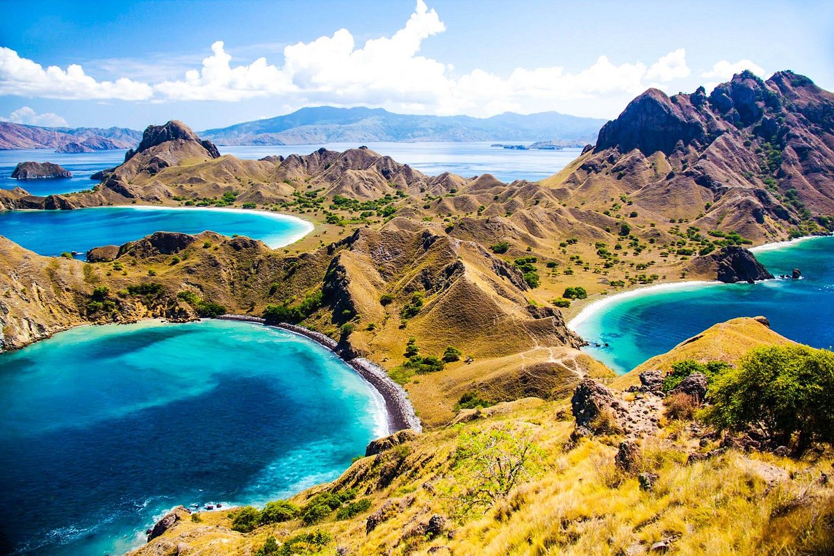 Komodo