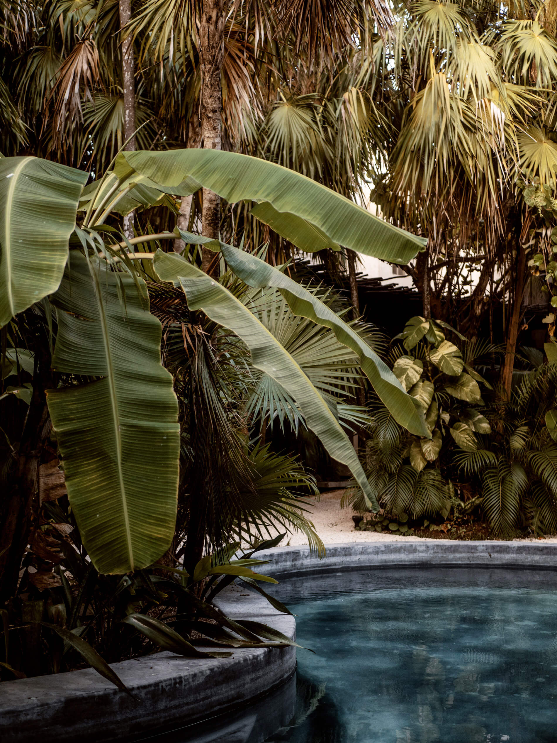 Tulum Treehouse