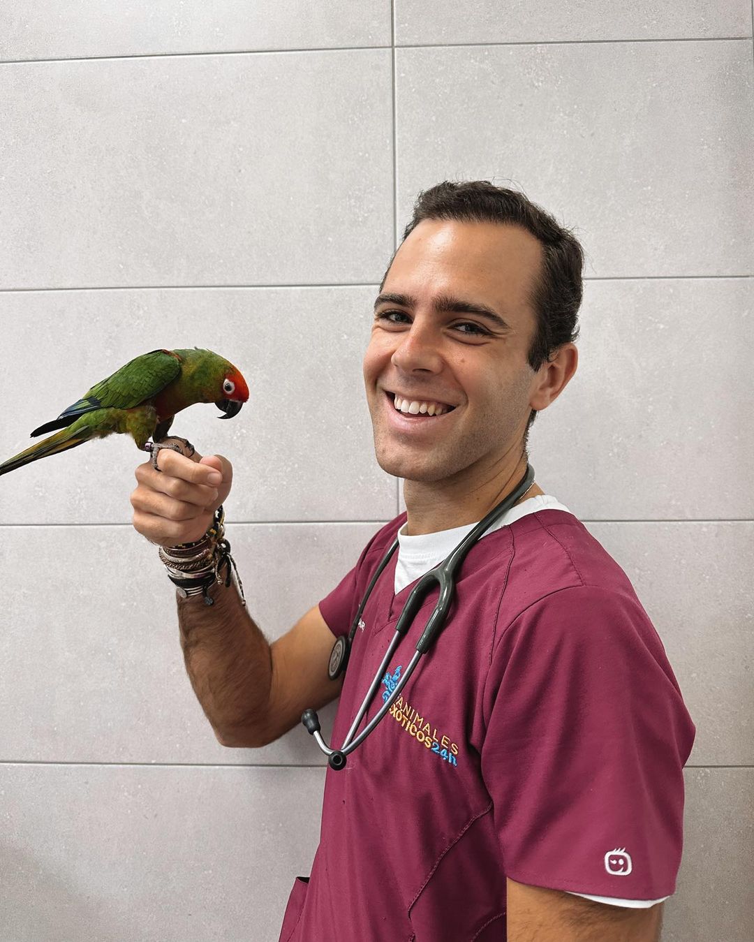 veterinario