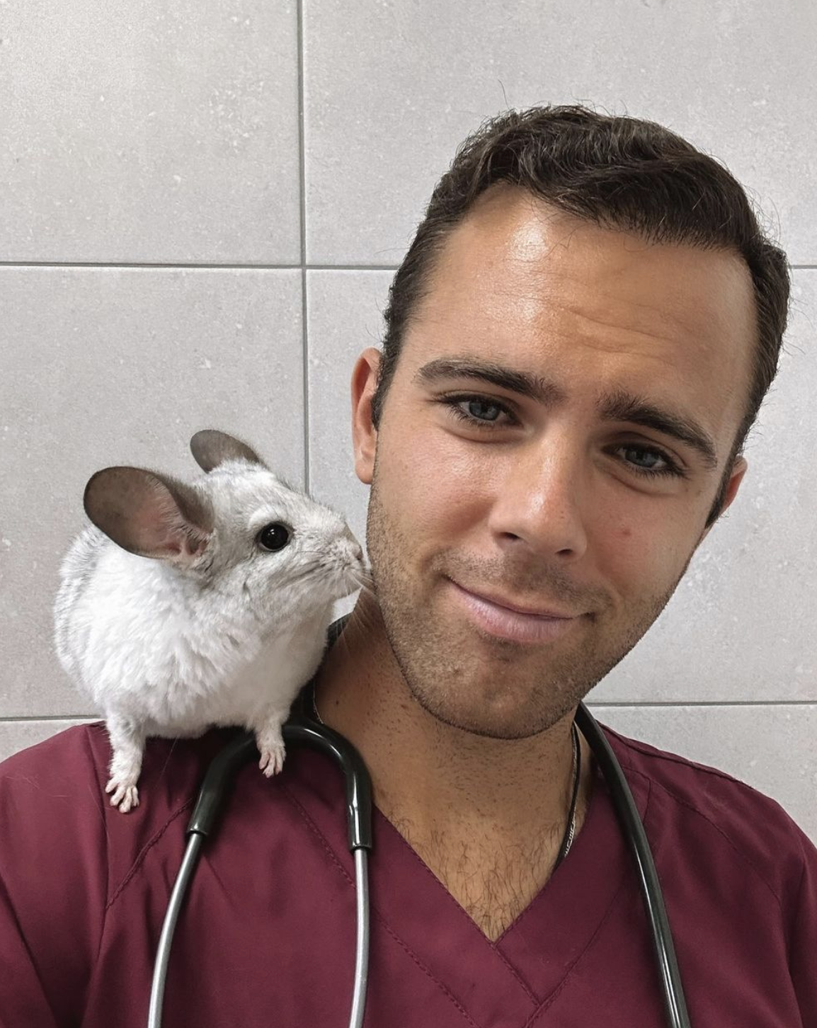 veterinario