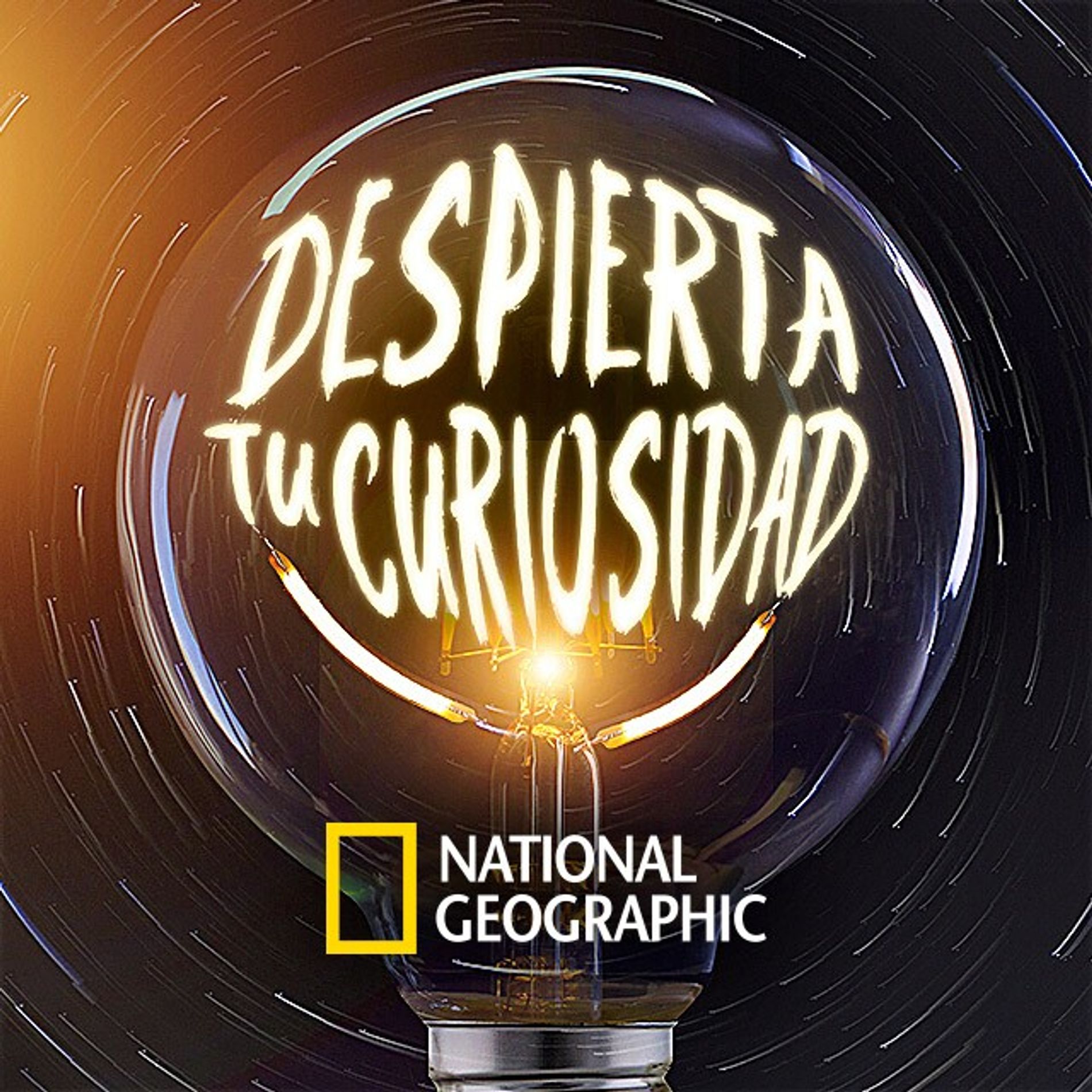 Despierta tu curiosidad