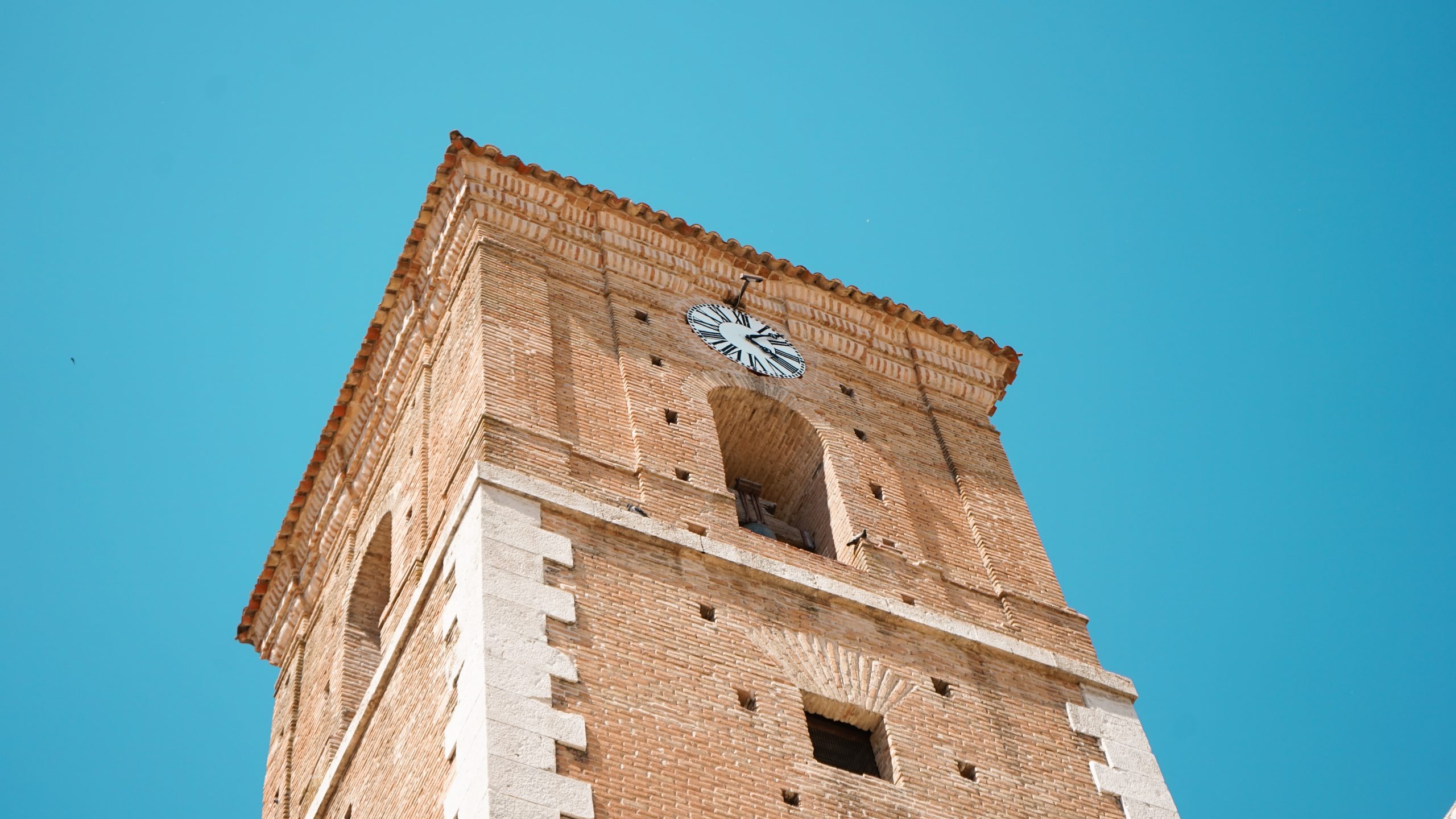 Chinch&oacute;n