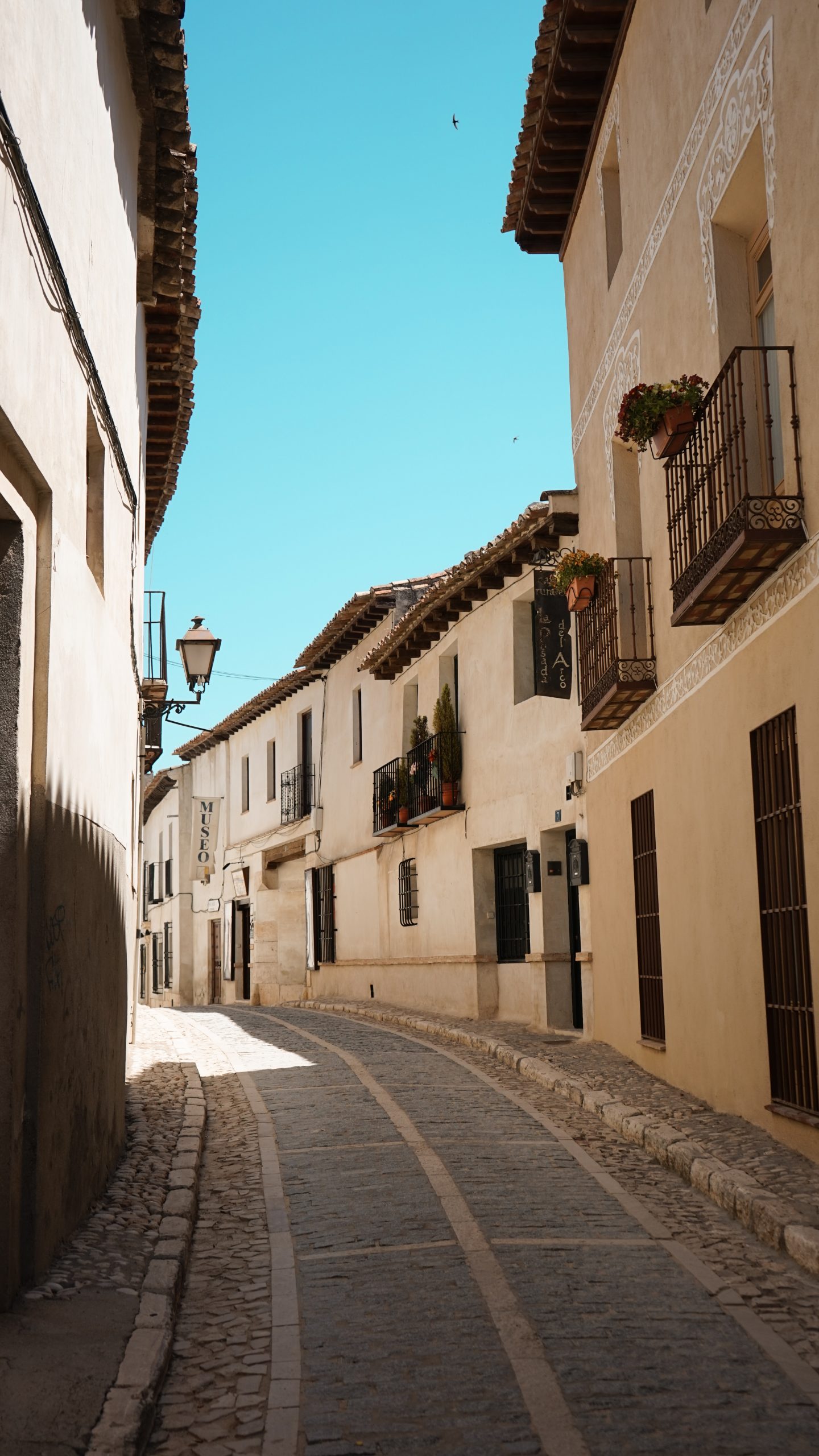 Chinch&oacute;n