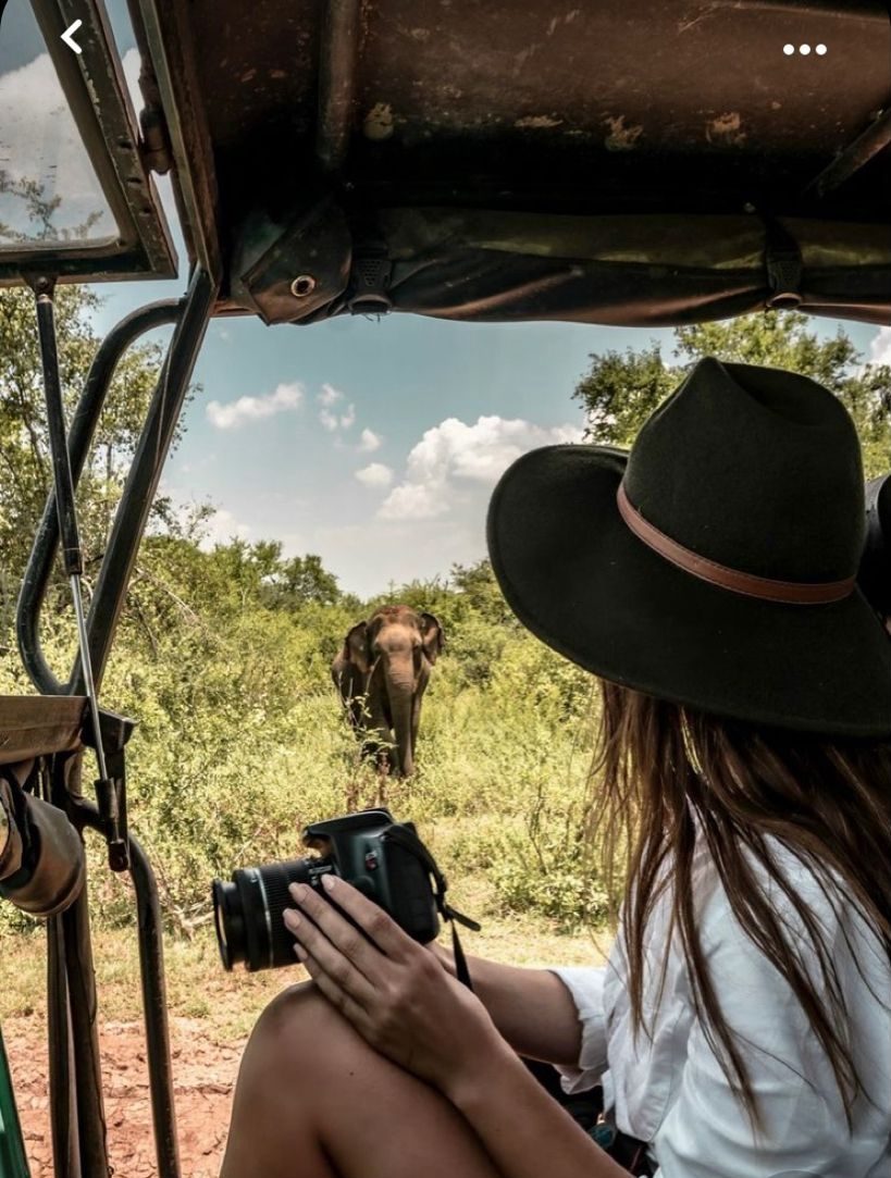 Neceser de safari